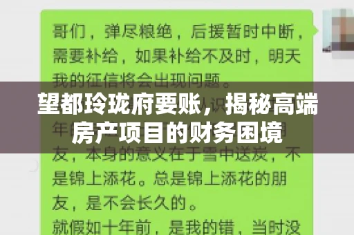 望都玲珑府要账，揭秘高端房产项目的财务困境