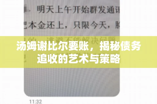 汤姆谢比尔要账，揭秘债务追收的艺术与策略