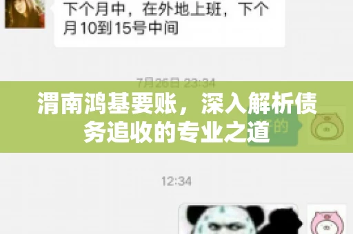 渭南鸿基要账，深入解析债务追收的专业之道