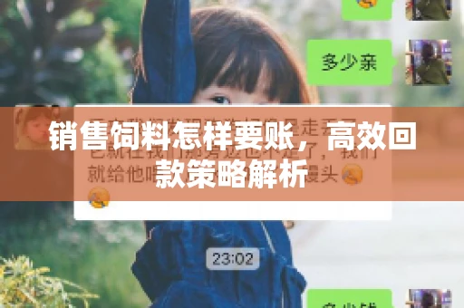 销售饲料怎样要账，高效回款策略解析