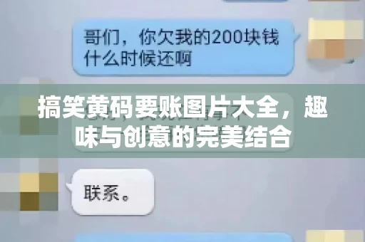 搞笑黄码要账图片大全，趣味与创意的完美结合