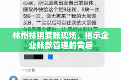 林州林钢要账现场，揭示企业账款管理的背后