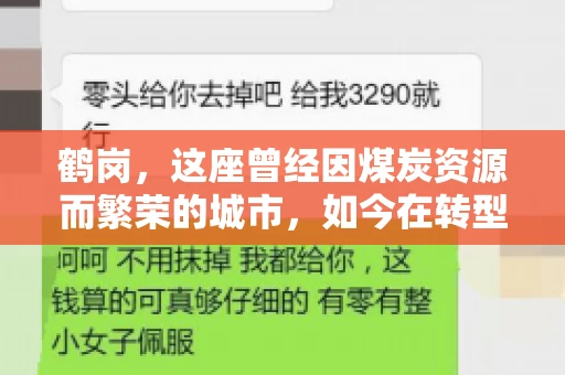 鹤岗，这座曾经因煤炭资源而繁荣的城市，如今在转型中寻求新的发展路径。在这座城市中，有一家名为“鹤岗要账公司”的企业，它以专业的服务，在众多企业中脱颖而出。今天，就让我们一起来了解一下这家公司，看看它是如何在这个充满挑战的市场中立足的。