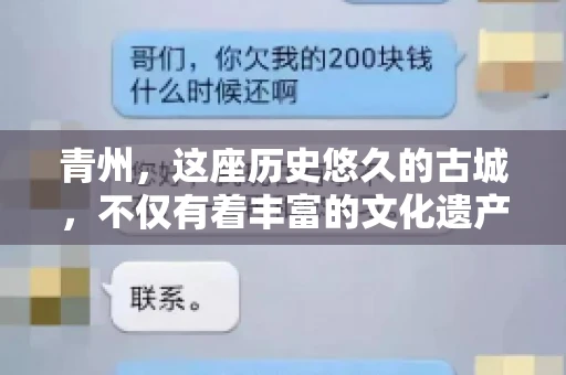 青州，这座历史悠久的古城，不仅有着丰富的文化遗产，也是商业活动频繁的地方。对于许多企业来说，应收账款的管理是日常运营中不可或缺的一环。那么，青州那里有要账的公司呢？今天，我们就来聊聊这个话题。