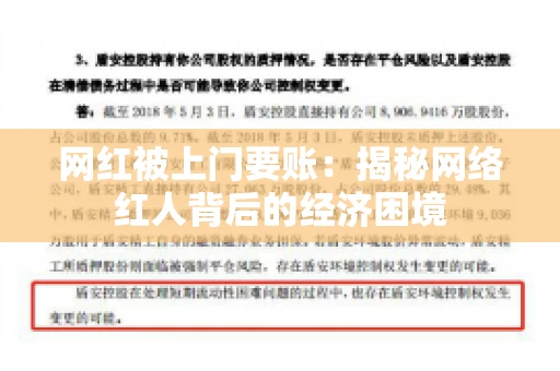 网红被上门要账：揭秘网络红人背后的经济困境