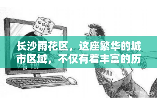长沙雨花区，这座繁华的城市区域，不仅有着丰富的历史文化，还有着繁忙的金融活动。其中，催收公司作为金融行业的一个重要组成部分，在这里也有着不少的身影。那么，长沙雨花区都有哪些催收公司呢？今天，我们就来聊聊这个话题。