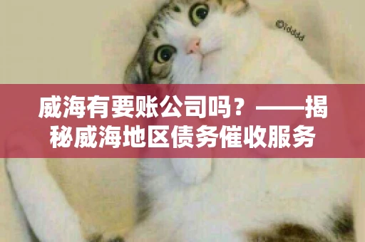 威海有要账公司吗？——揭秘威海地区债务催收服务
